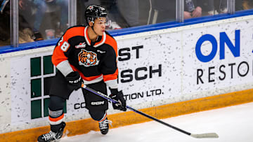 Cayden Lindstrom, Calgary Flames