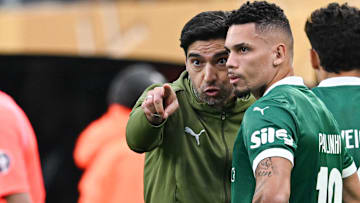 Jogador foi contratado pelo Verdão nesta temporada