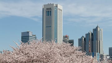The Shinjuku, skyline  with Tokyo Opera City tower (centre)
