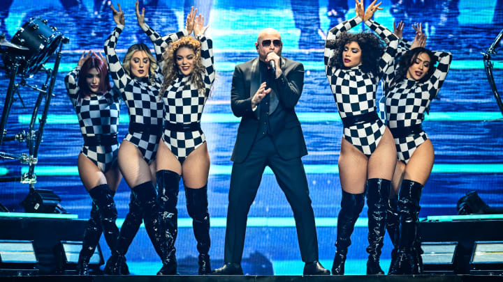 Pitbull- Nashville, TN