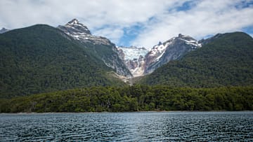 Larches and other tree species share the ecoregion of the...