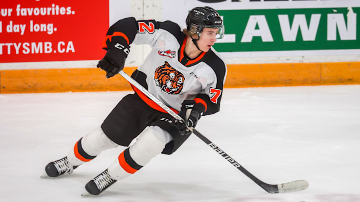 Medicine Hat Tigers v Winnipeg Ice - Game 2