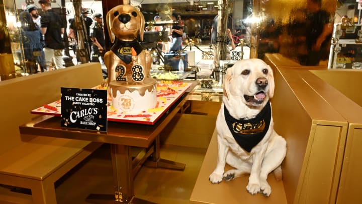 Raising Cane's Celebrates "Golden Birthday" With Opening Of New Gold Restaurant In Boston