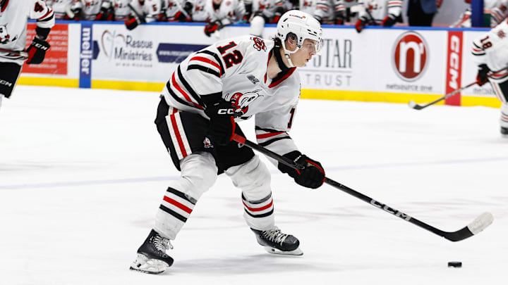 Niagara Ice Dogs v Saginaw Spirit