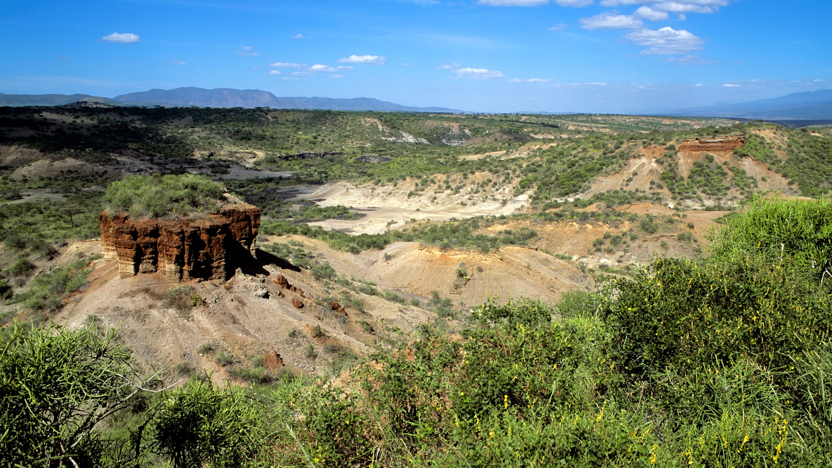 8 Facts about Olduvai Gorge, the “Cradle of Mankind”