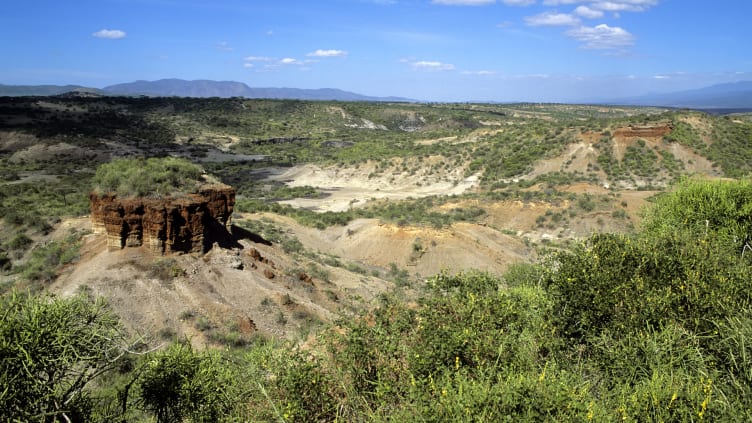 Olduvai Gorge in Tanzania, the site of humankind's earliest ancestors.