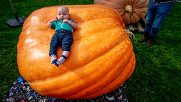 Why put your baby in a carved pumpkin when you could put them on a giant one?