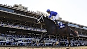 Nov 1, 2024; Del Mar, CA, USA; Immersive ridden by Manuel Franco wins the Juvenile Fillies during the 2024 Breeders' Cup Championship at Del Mar Thoroughbred Club. 