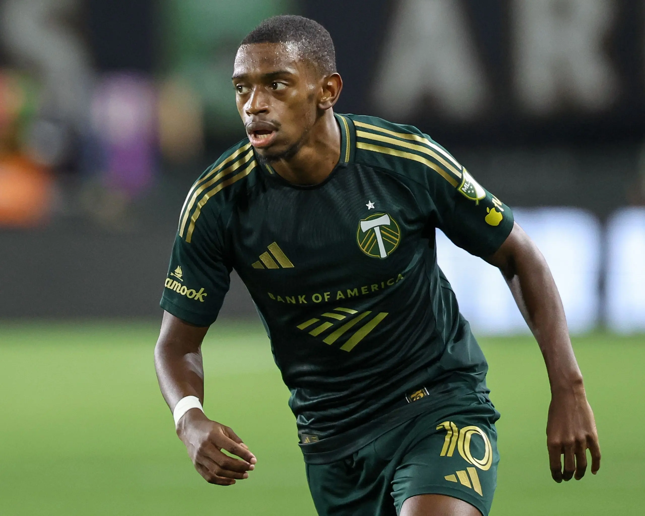 David Da Costa, Portland Timbers