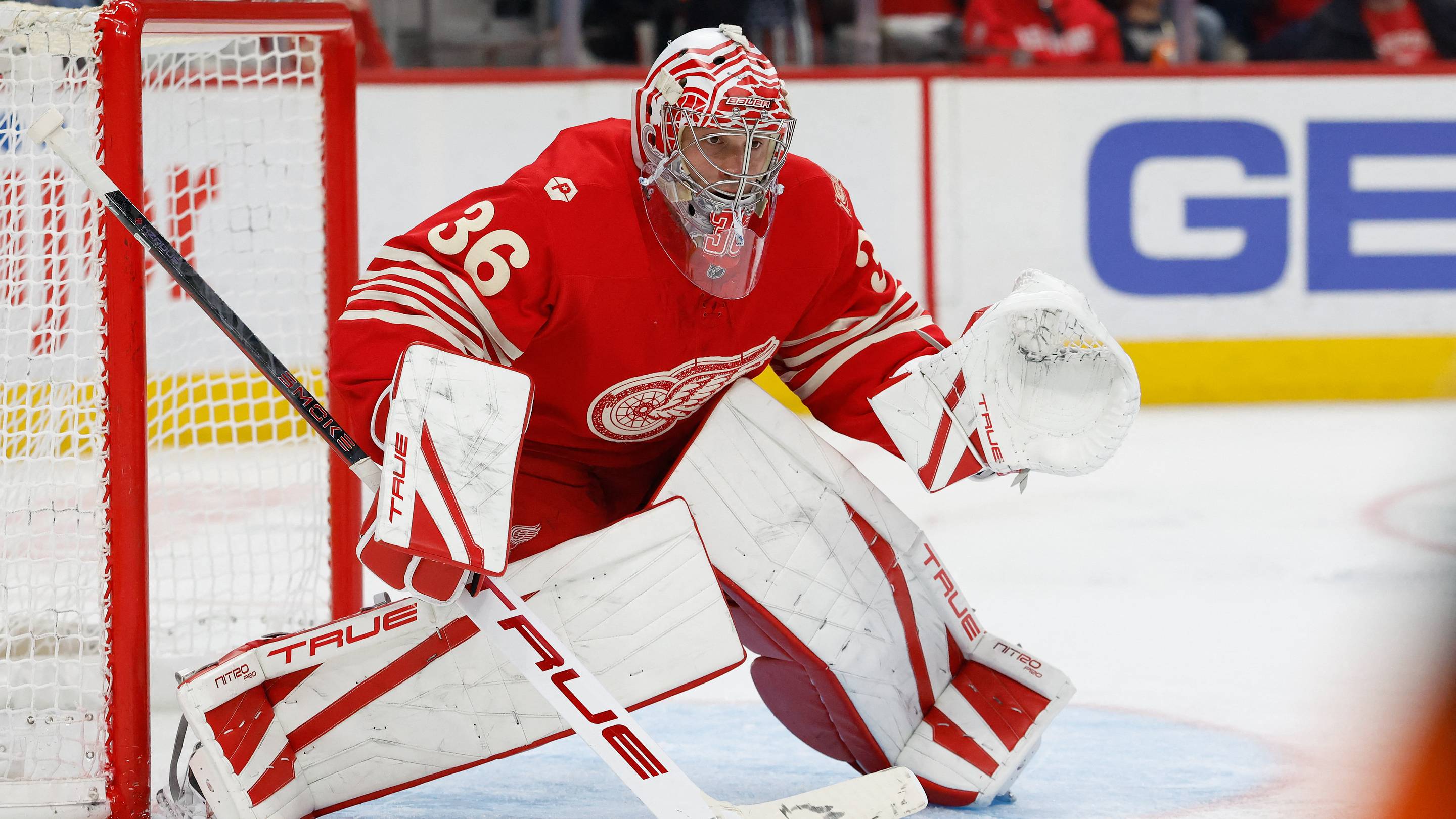 Did the Red Wings Actually Get Worse This Offseason?
