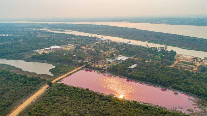Lagoon Turns Pink Due to Tannery Pollution