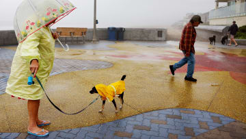 Tropical Storm Hilary Brings Wind and Heavy Rain to Southern California