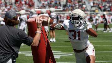Alabama Spring Game
