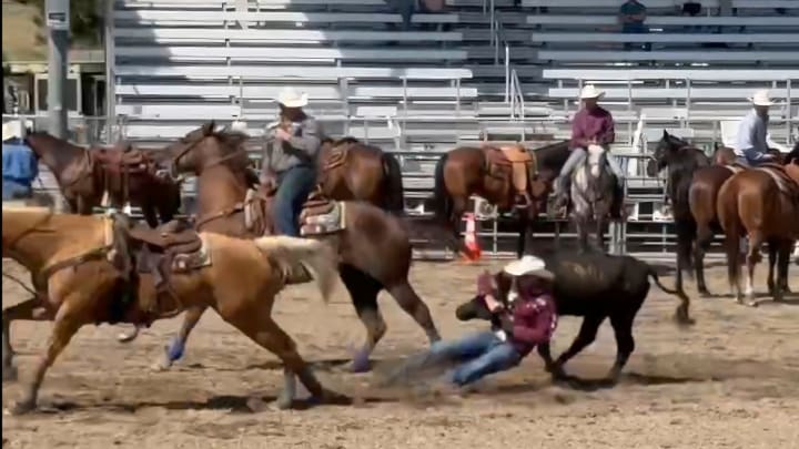 Tyler Waguespack throws his steer in 3.8 seconds in Castle Rock, Colo.