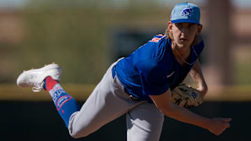 Chicago Cubs Spring Training