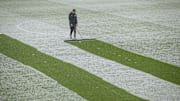 It's a wonderful sight... except for groundsmen 