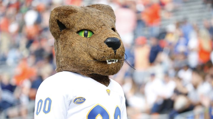 Nov 12, 2022; Charlottesville, Virginia, USA; Pittsburgh Panthers mascot \"ROC\" looks on from the sidelines prior to the game against Virginia Cavaliers at Scott Stadium. Mandatory Credit: Amber Searls-USA TODAY Sports