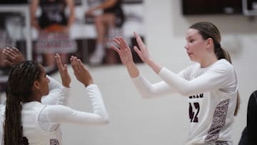Hamilton Huskies teammates Callie Hinder (42) and Kayla Adams (4) high-five in their Open Division quarterfinals game against the Gilbert Tigers at Hamilton High School.