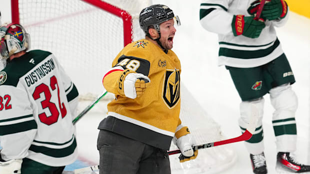 Hockey player celebrates a goal score