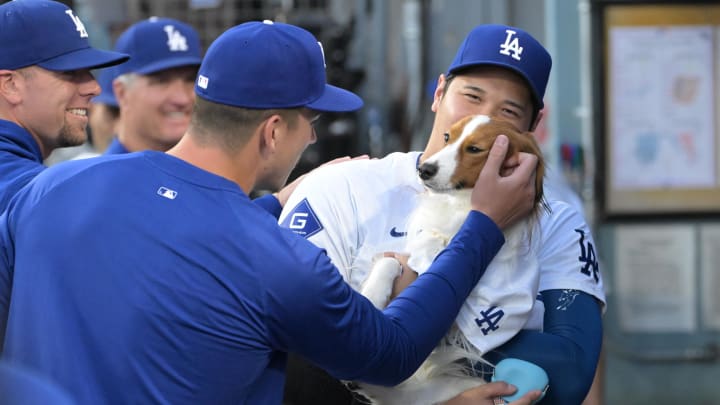 Aug 28, 2024; Los Angeles, California, USA;  Los Angeles Dodgers designated hitter Shohei Ohtani (17) walks through the dugout with his dog Decoy after delivering the first pitch before the game against the Baltimore Orioles at Dodger Stadium. Mandatory Credit: Jayne Kamin-Oncea-USA TODAY Sports