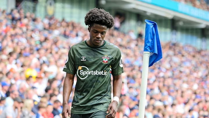 Brighton & Hove Albion v Southampton FC - Premier League