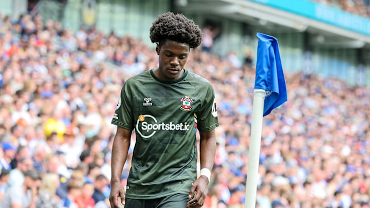 Brighton & Hove Albion v Southampton FC - Premier League