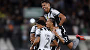 O Botafogo vem de duas vitórias consecutivas no Brasileirão 2025