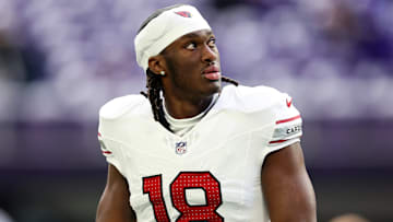 Arizona Cardinals v Minnesota Vikings