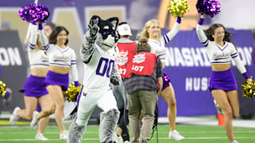 Jan 8, 2024; Houston, TX, USA; Washington Huskies mascot Harry the Husky runs onto the field before the 2024 College Football Playoff national championship game against the Michigan Wolverines at NRG Stadium. Mandatory Credit: Thomas Shea-Imagn Images