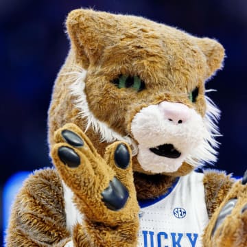 Mar 1, 2022; Lexington, Kentucky, USA; The Kentucky Wildcat mascot claps during the second half against the Mississippi Rebels at Rupp Arena at Central Bank Center. Mandatory Credit: Jordan Prather-USA TODAY Sports