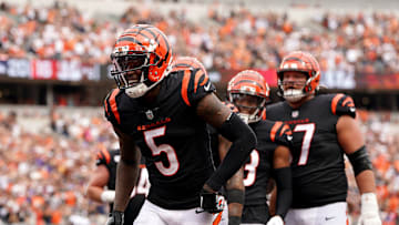 Baltimore Ravens v Cincinnati Bengals