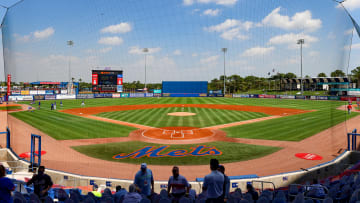 Washington Nationals v New York Mets