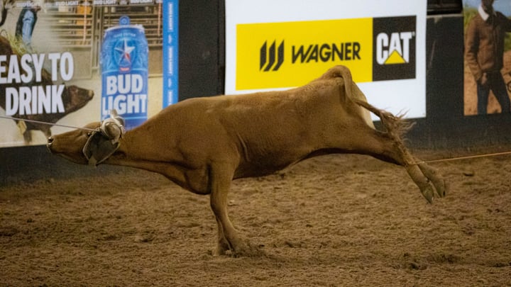 The team roping is a must watch event to see who will advance.