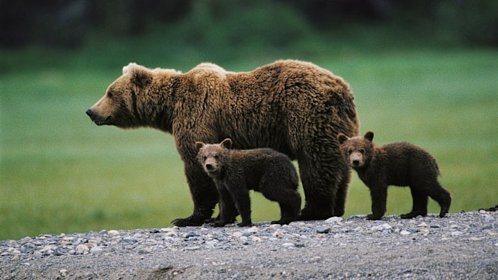 You‘ll never guess which country is first.