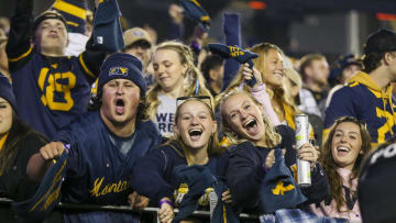 West Virginia Mountaineers football fans cheer during the first quarter against the Brigham Young Cougars at Mountaineer Field at Milan Puskar Stadium. 