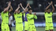 Palmeiras foi derrotado pelo Botafogo por 2 a 1 no Nilton Santos