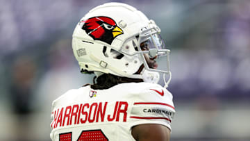 Arizona Cardinals v Minnesota Vikings