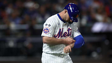 Oct 18, 2024; New York City, New York, USA; New York Mets first baseman Pete Alonso (20) reacts after being hit by a pitch during the fourth inning against the Los Angeles Dodgers during game five of the NLCS for the 2024 MLB playoffs at Citi Field. Mandatory Credit: Vincent Carchietta-Imagn Images