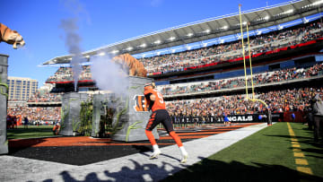 Pittsburgh Steelers v Cincinnati Bengals
