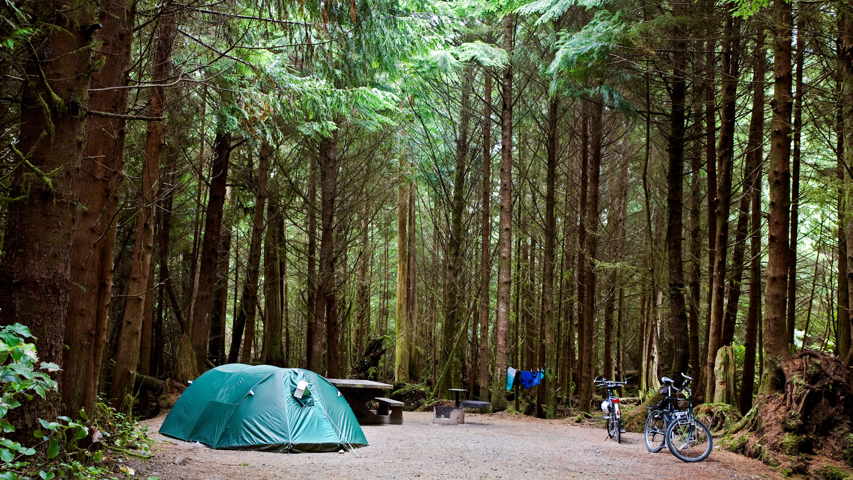 The 10 Best States for Campers