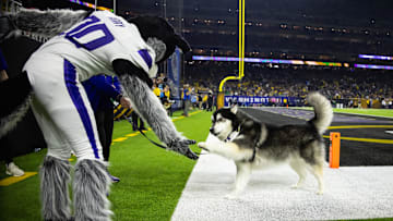 Jan 8, 2024; Houston, TX, USA; Washington Huskies mascot Harry the Husky (left) greets dog Dubs II during the 2024 College Football Playoff national championship game at NRG Stadium. Mandatory Credit: Mark J. Rebilas-Imagn Images