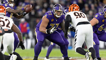 NFL: NOV 27 Bengals at Ravens