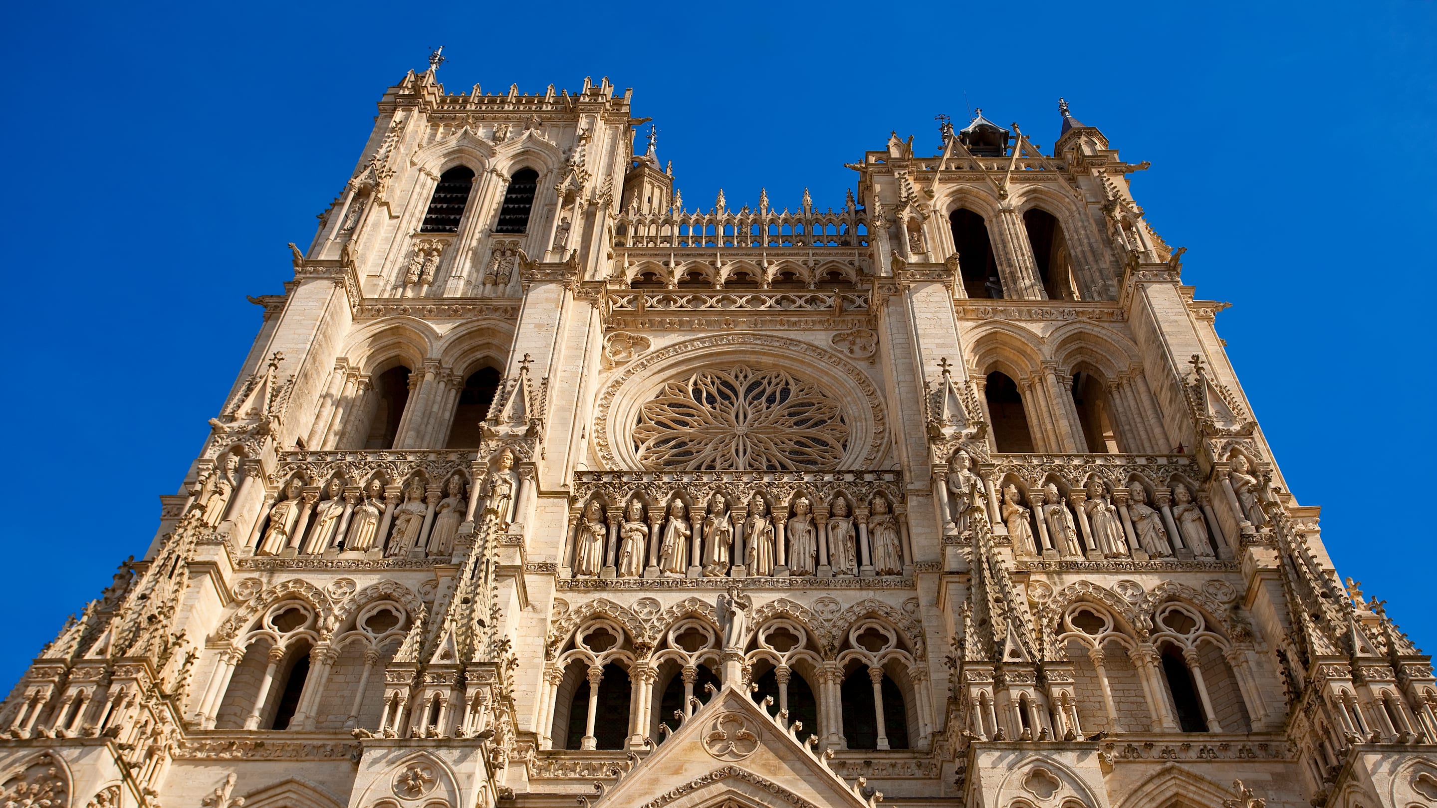 Mysterious ‘Horseman’ Found in a Lead Coffin Beneath Notre-Dame May Have Just Been Identified