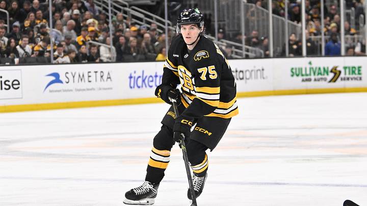Mar 19, 2026; Boston, Massachusetts, USA; Boston Bruins forward Lukas Reichel (75) controls the puck against the Winnipeg Jets during the third period at TD Garden. Mandatory Credit: Eric Canha-Imagn Images Mar 19, 2026; Boston, Massachusetts, USA; Boston Bruins forward Lukas Reichel (75) controls the puck against the Winnipeg Jets during the third period at TD Garden. Mandatory Credit: Eric Canha-Imagn Images