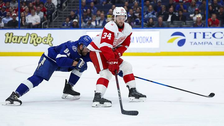 Apr 13, 2026; Tampa, Florida, USA; Detroit Red Wings left wing Carter Mazur (34) and Tampa Bay Lightning defenseman Erik Cernak (81) battle for the puck in the second period at Benchmark International Arena. Mandatory Credit: Nathan Ray Seebeck-Imagn Images