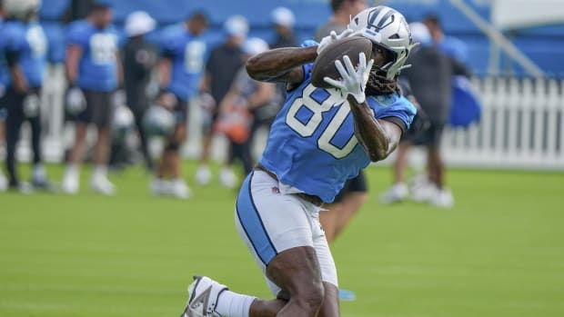 Carolina Panthers tight end Ian Thomas (80) makes a catch. Jim Dedmon-USA TODAY Sports