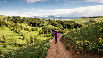 Montana is No.1.
