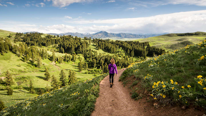 Montana is No.1.