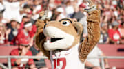 Oct 27, 2018; Stanford, CA, USA; Washington State Cougars mascot Butch T Cougar entertains the crowd during the first quarter against the Stanford Cardinal at Stanford Stadium. Mandatory Credit: Stan Szeto-Imagn Images