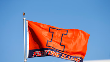 Illinois Flag